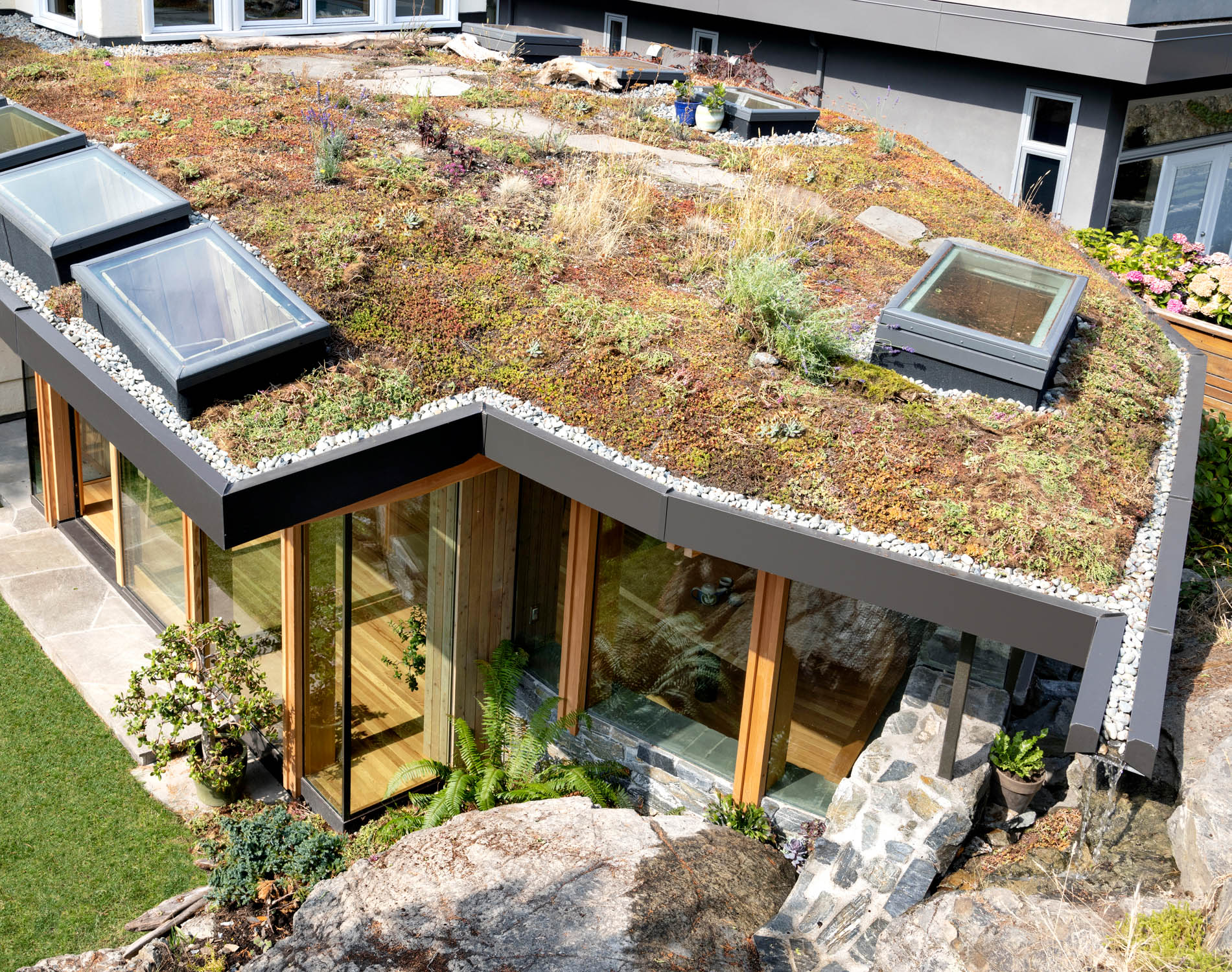 A living roof with native plants captures rainwater for a small water feature.