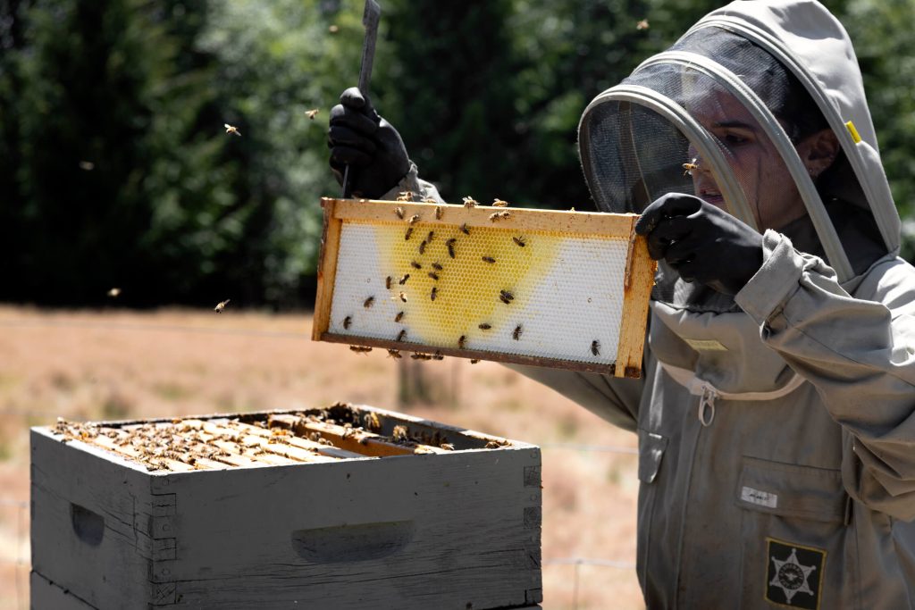A bee keeper tends to their hive, commercial lifestyle photography by Tony Colangelo.